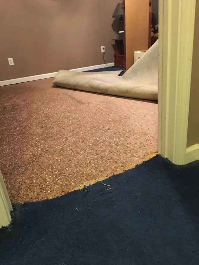 Carpet pad removal revealing water damage during Drying & Dehumidification in Villa Park
